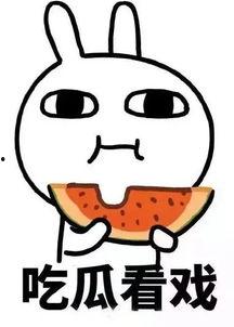 娱乐嗨吃瓜君